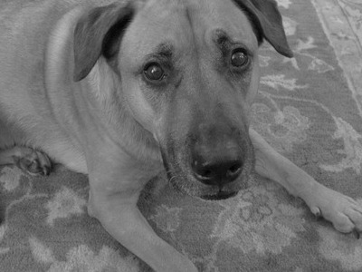 We love you Gunther