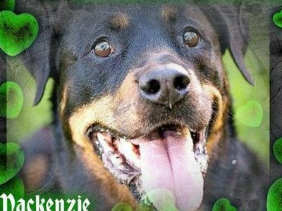 Kenzie - Gone but Never Forgotten