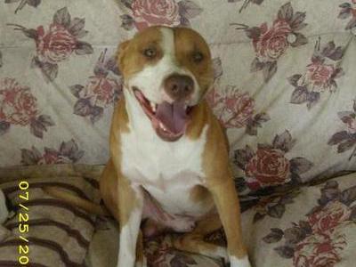 Axle