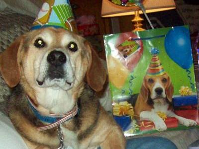 MICKEYS 13TH BIRTHDAY-