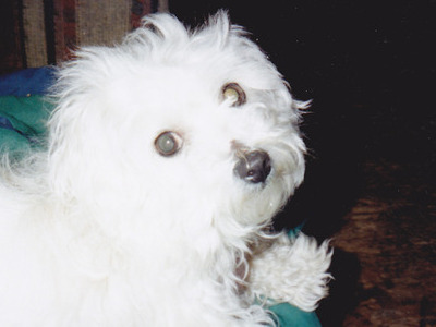 photo caption