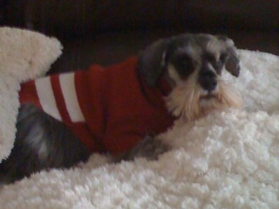  Gus Rosie and I will meet you at the Rainbow Bridge.