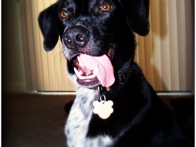 Mr. Jakes