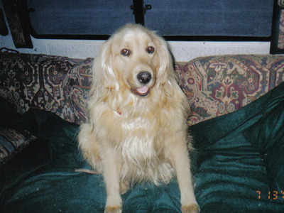 photo caption