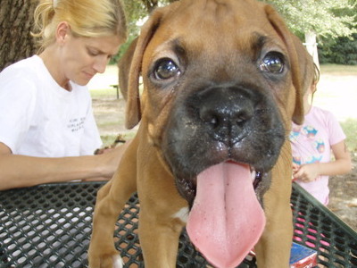 Phoenix at 2 months old