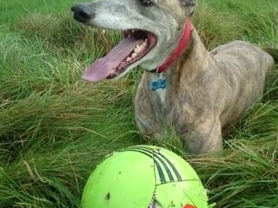 Max at the track with his favourite ball