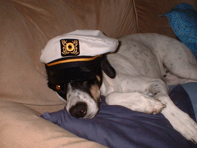 Capt'n Bud