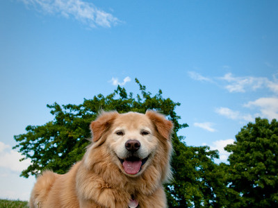 loved the park