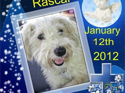 r.i.p rascal