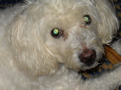 MY BABY