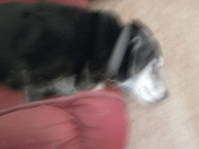 photo caption