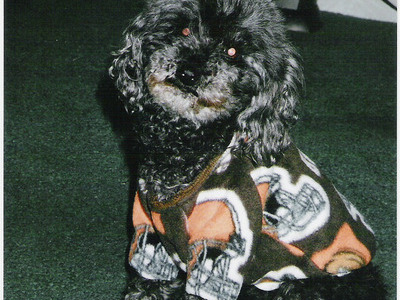 Shadow - Our Baby