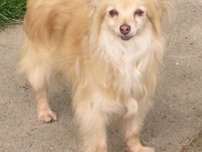 IN MEMORY OF TAFFY