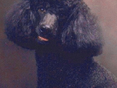 photo caption