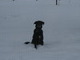 He loved the snow.