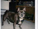 2004, Penny's 1st Thanksgiving with us