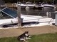 Chillin' at the Yacht Club