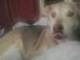 Sticking tongue out at camera again 