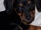 My sweet baby