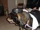 I'm a studly ringbearer in my snazzy tux!