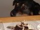 I want that cake!