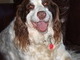 Bentley's big smile . . . we will always remember it