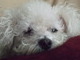 Nap time