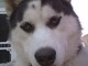 Beautiful face...only a mother could love