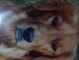 When Reba was young