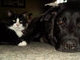 Best friends and he misses you a whole lot!