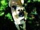 Miss Dixie Marie