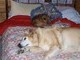 Almond and her little sister Zoey