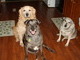 photo ME AND MY MOM AND MY ADOPTED BROTHER WAITING FOR TREATS