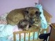 Took over Trinity's new bed