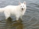 I love the water especially boatrides!