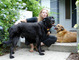 Jack, Tillie and me,. 2007