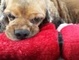 Guarding Her Baby