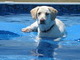 Oliver on 