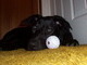 with her favourite toy