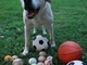 Duncan shows off his collection of balls