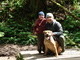 Forest Park, Portland, OR
