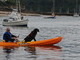 Go sailing with Dad