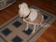ITS COLD OUTSIDE AND I DON'T LIKE SNOW!!