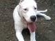 SKYLA AT THE PARK