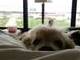 In the hotel room with me. I took him with me on one of my business trips.