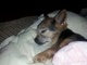 Sleepy time