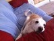 Wanna join me on the couch?