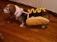 hot dog!!!!  happy halloween