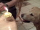 Murphy's 11th birthday