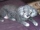 In her latter years, Blind but still a blessing to us
